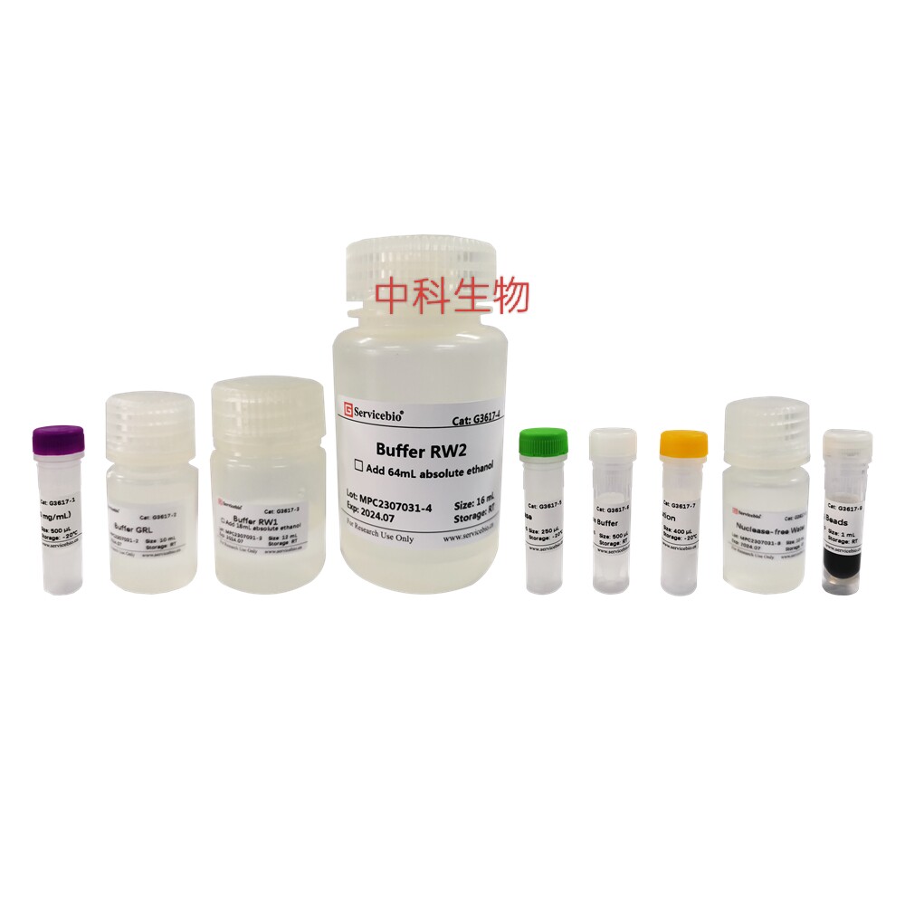 磁珠法细菌总RNA提取试剂盒 利用磁珠法快速有效地提取细菌的RNA