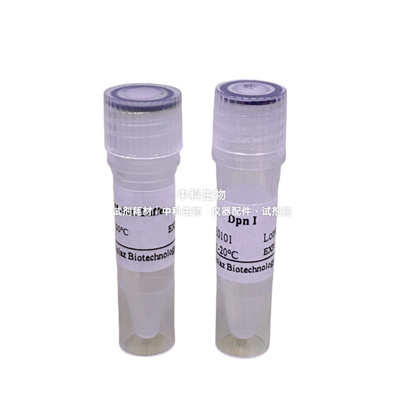 BOLAZ Dpn I 限制性内切酶，适用切割质粒DNA/PCR产物/基因组 DNA