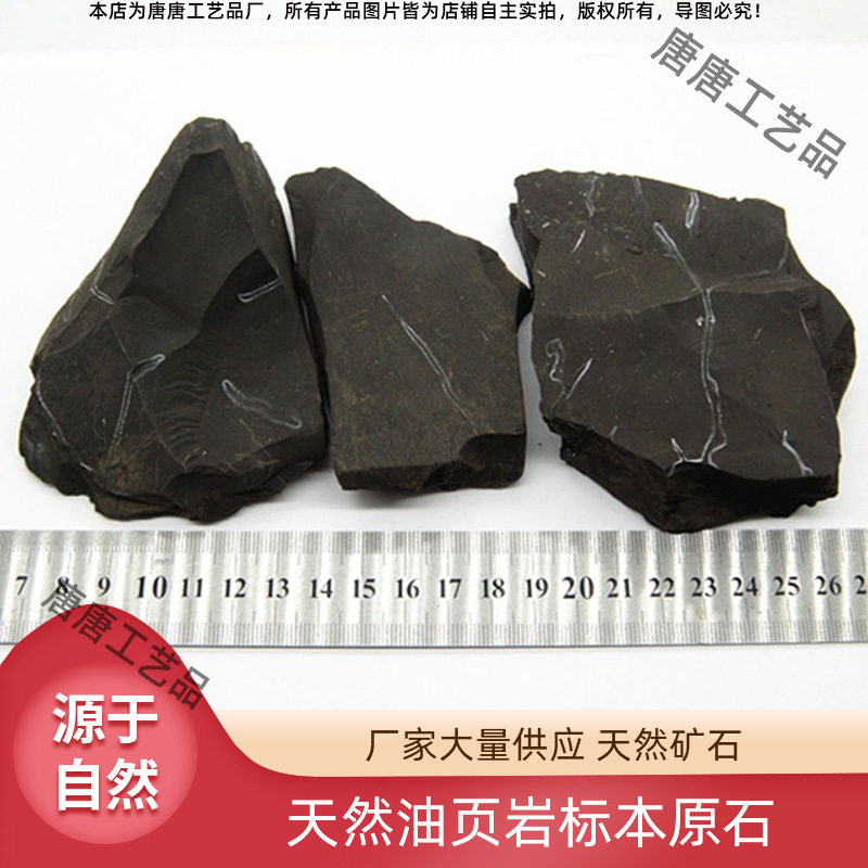 天然油页岩原料矿物标本 原矿摆饰岩石教学原石 实验材料产地湛江