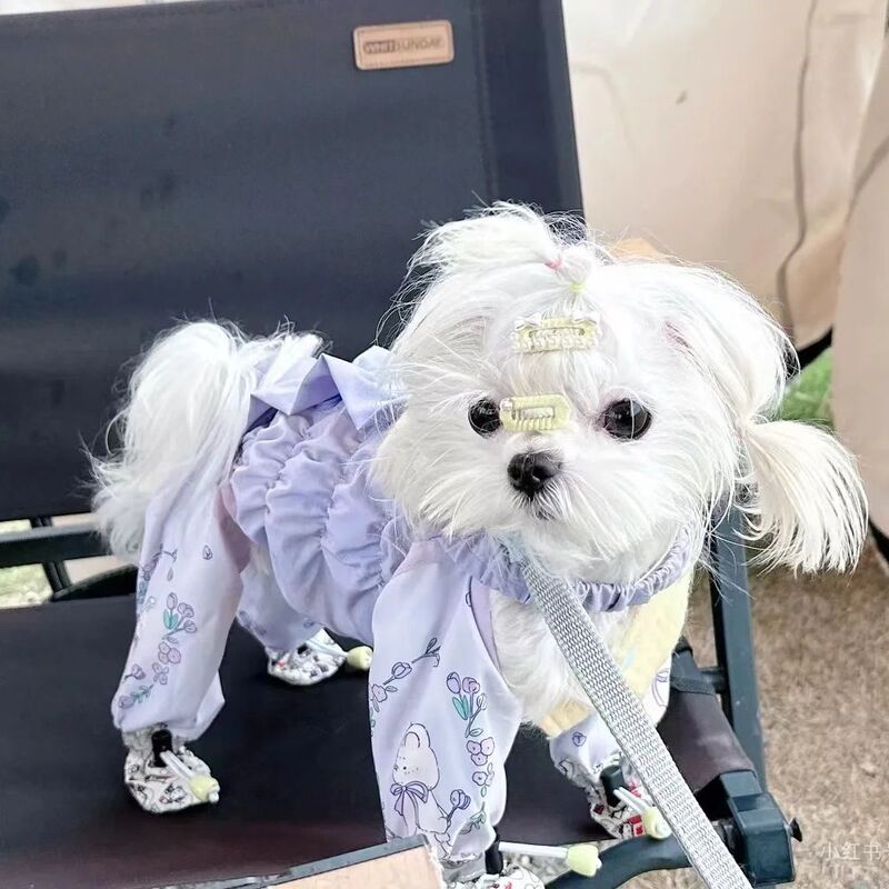 Dog Outdoor Anti-Dirt and Anti-Pee Overalls for Medium and Small Dogs, Teddy Jumpsuit with Foot Covers, Pet Jumpsuit Shoe Covers