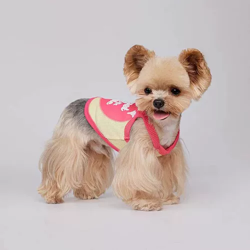 Сладкая и милая подвесная собачья собака кот кот малзис