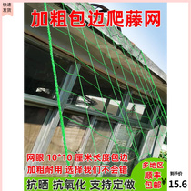 Grapevine crewy web type silk melon net cucumber flower vine bitter melon planting nets agricultural climbing nets for cattle and vegetables