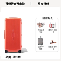 Оранжево -красная [мода яркая монада] доска сгущения