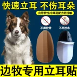 Bian Mu Dog Stick уш уш