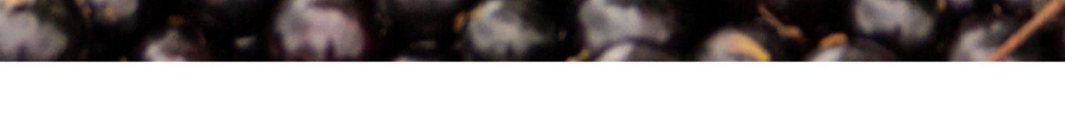 【中國直郵】 花田萃 羽衣甘藍巴西莓粉 輕食代餐粉飽腹食品早餐沖泡即食飲品 3g*20條/盒