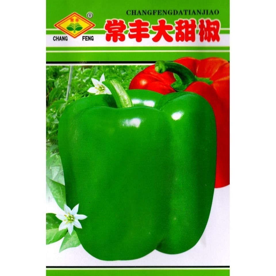 灯笼椒是怎么培育出来的?🌶️ 辣椒界的“小灯笼”-生活-淘宝百科网