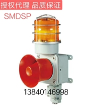 SMDS SMDSP-WS WP WM WA WV-12 24 110 220-R A G B P LC