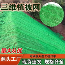 Three-dimensional vegetation net geonet Slope protection greening grass net Geotechnical three-dimensional net garden greening reinforced vegetation net