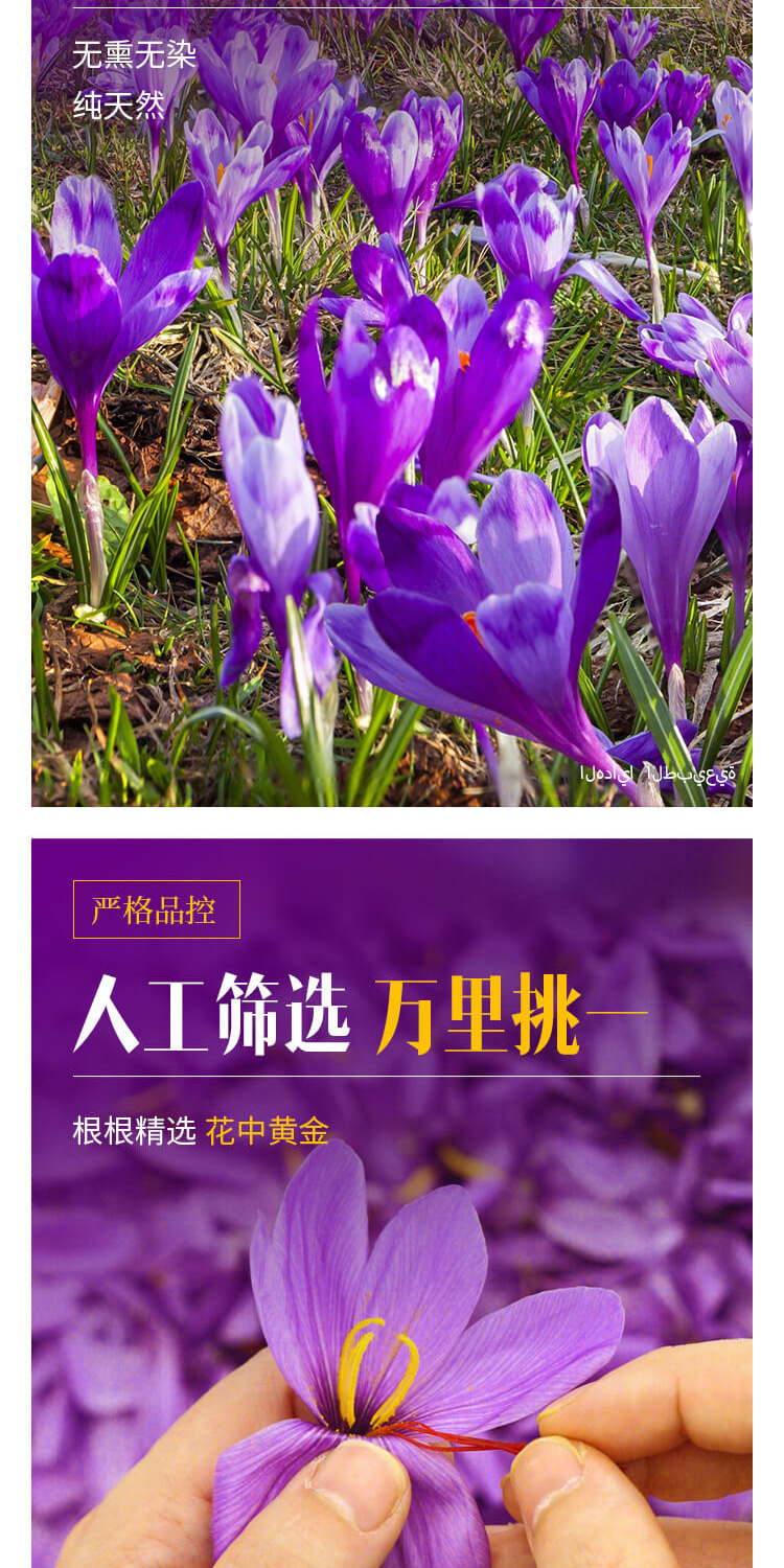 伊朗进口 Golestan 5星特级藏红花 2g瓶装*2件 双重优惠折后¥72包邮包税