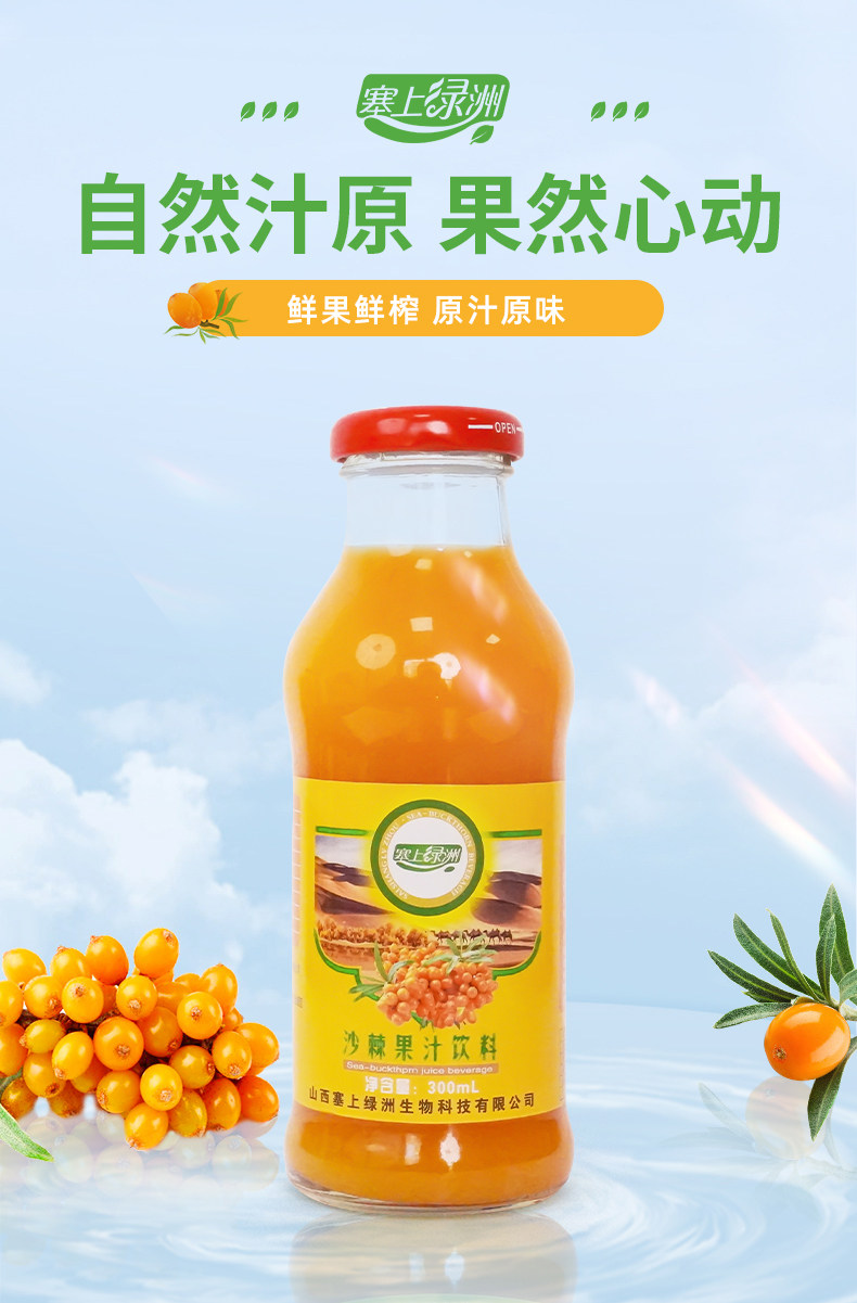 塞上绿洲 沙棘计原浆饮料 300ml*8瓶 图1