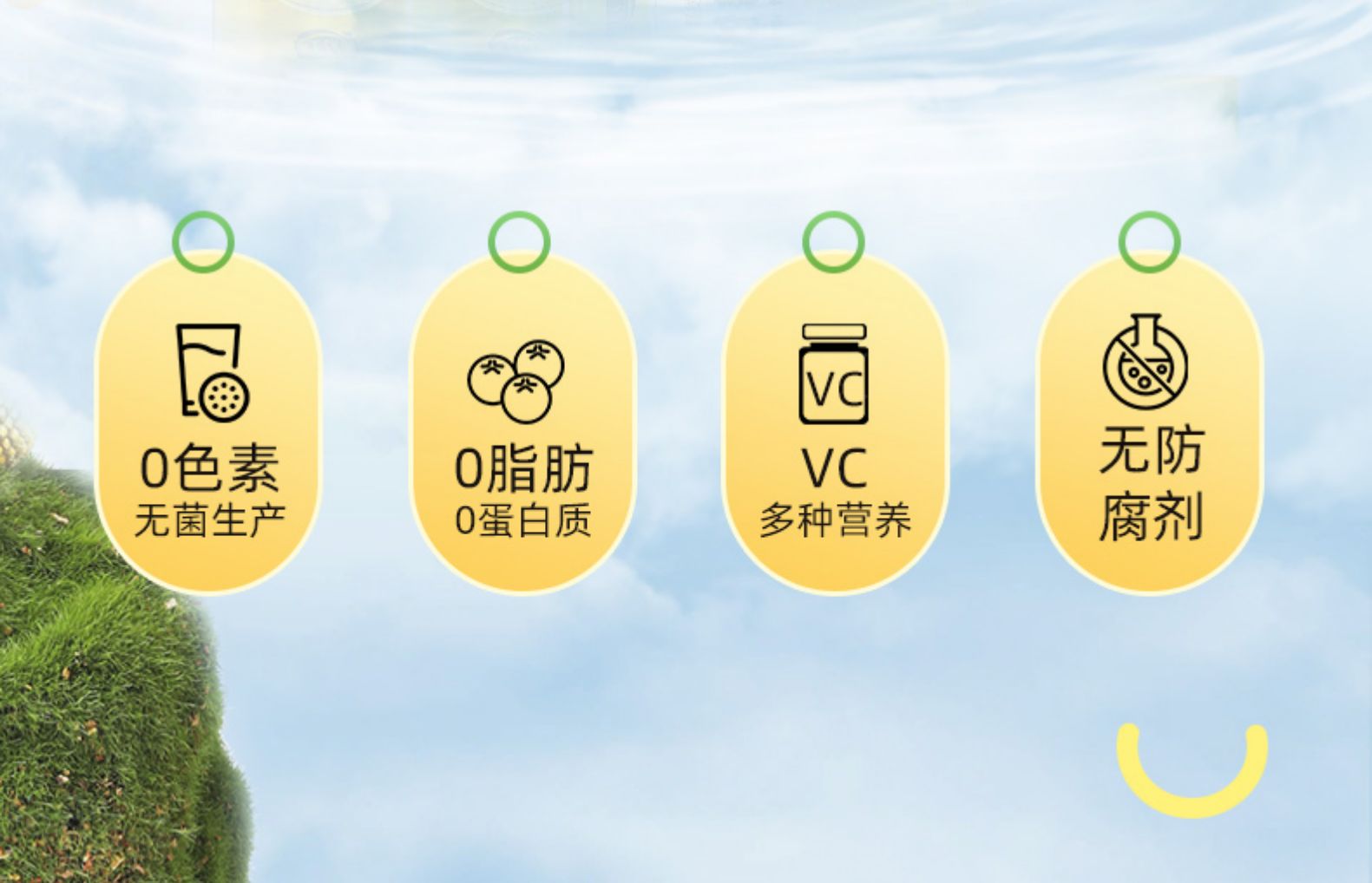 塞上绿洲 山西特产沙棘饮料240mlx8罐 券后29.9元包邮 值值值-买手聚集的地方