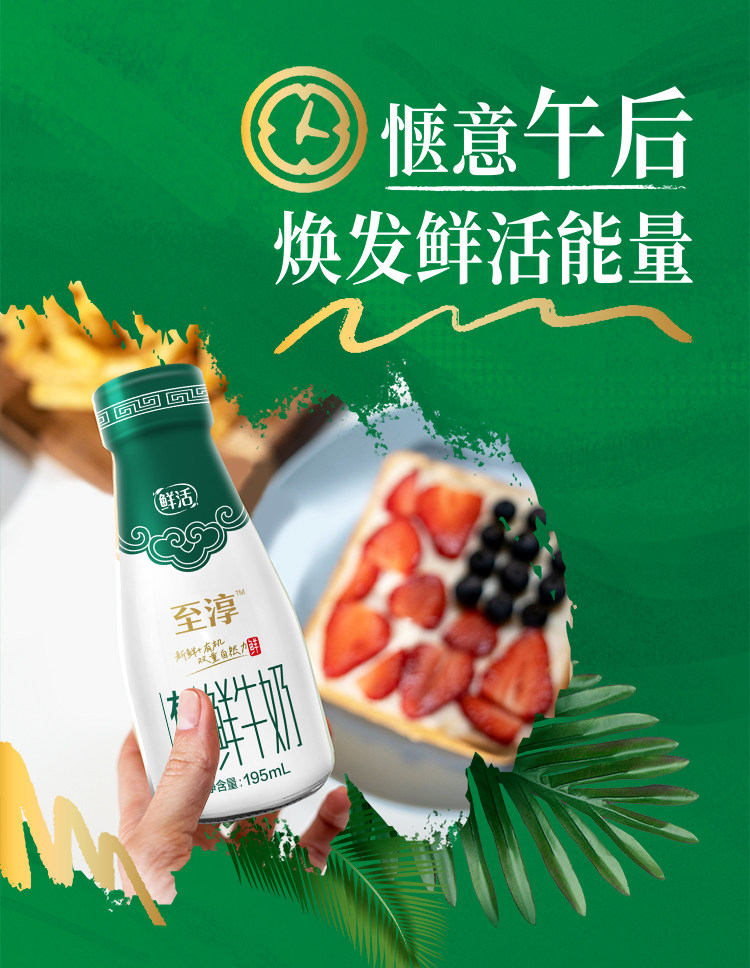 安享好物 安享S级纯奶-卫岗至淳 有机鲜牛奶 国标 