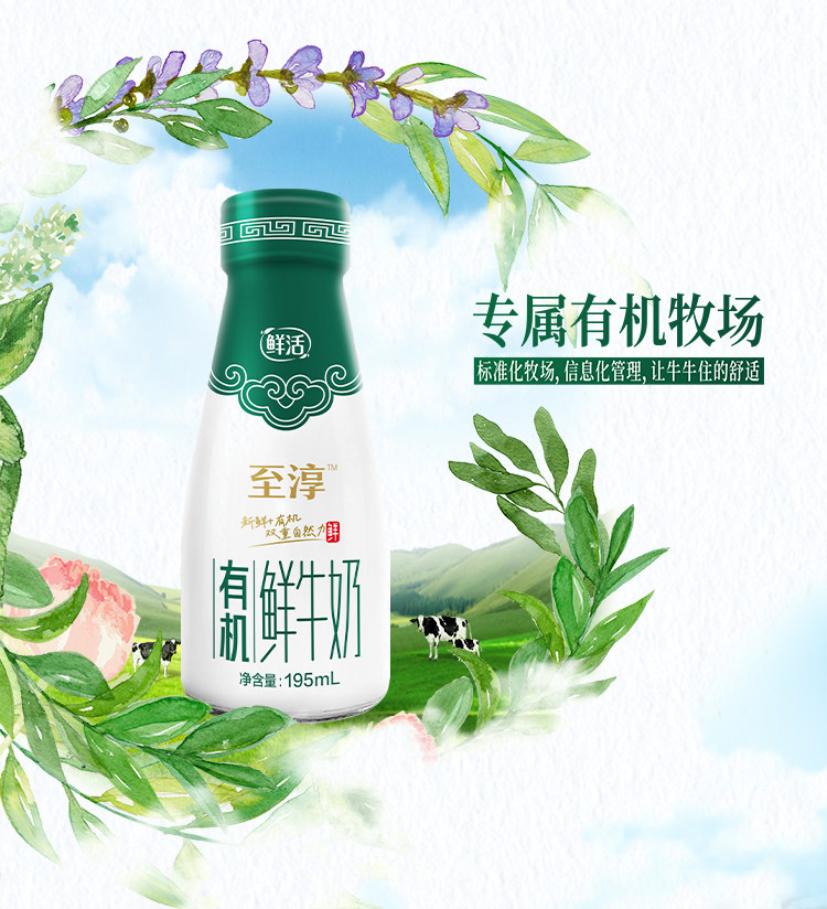 安享好物 安享S级纯奶-卫岗至淳 有机鲜牛奶 国标 