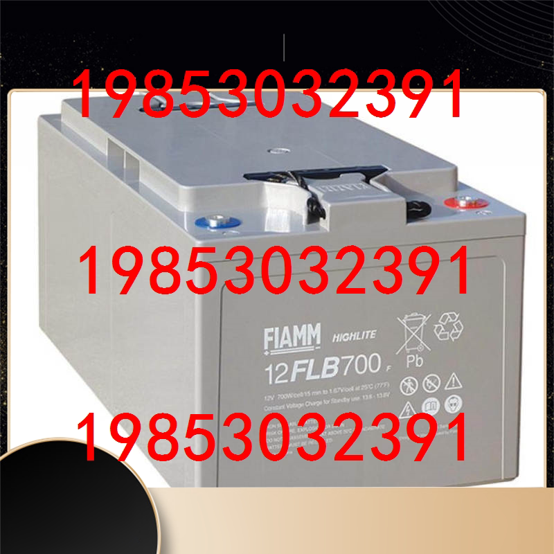 FIAMM extraordinary 12SPX120 DC screen UPS power supply supporting 12V120AH stock supply
