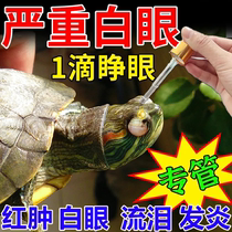 Special eye drops for tortoise white eye disease red and swollen eyes inflamed and white eyes Brazilian tortoise eye drops