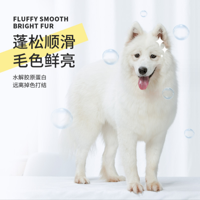 洗发水真的适合猫咪洗澡吗？