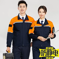 Тибетская синяя пинам