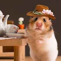 Hamster Flower Cowboy Hat Small Pet Mini Cowboy Hat Guinea Pig Parrot Snake Adjustable Pet Small Hat