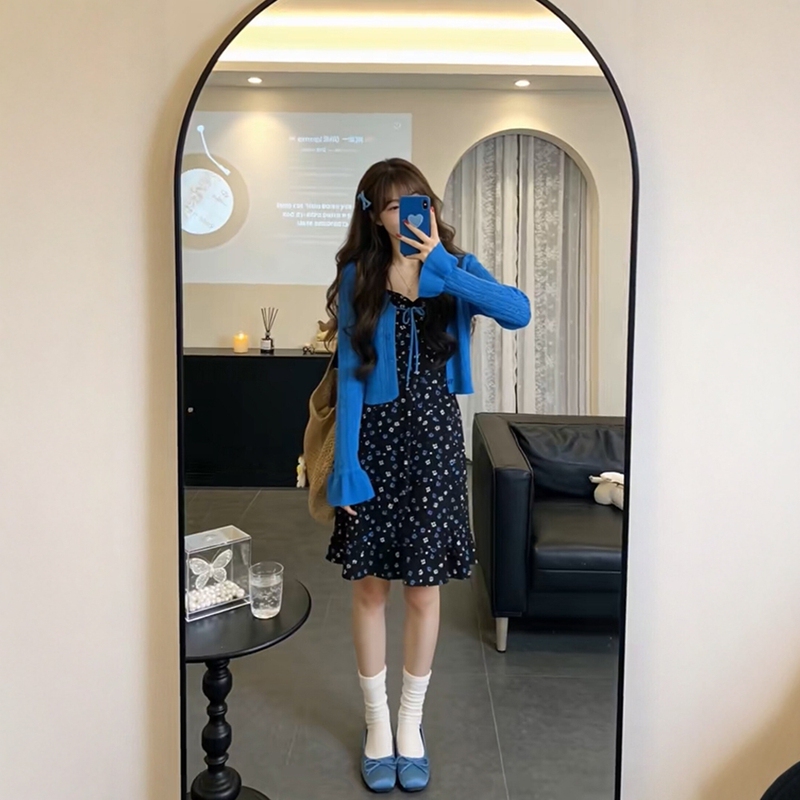 Spring Outfit Set for Plus-Size Women: Klein Blue Long-Sleeve Knit Cardigan and Floral Camisole Dress Set Spring Outfit Set for Plus-Size Women: Klein Blue Long-Sleeve Knit Cardigan and Floral Camisole Dress Set