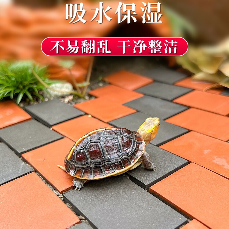 箱箱乐爬宠用品店的LOGO