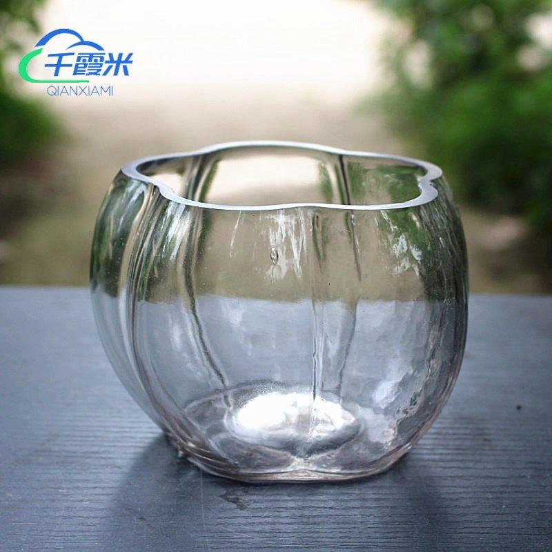 About Vase Transparent Cup Creative Hydroppot Plant plant Home Living room Adornment Flower Pendulum with glass glass bottle-Taobao