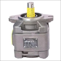 Hytec internal gear pump HG2-80 100 125 160-01R-VPC SUNNY servo oil pump