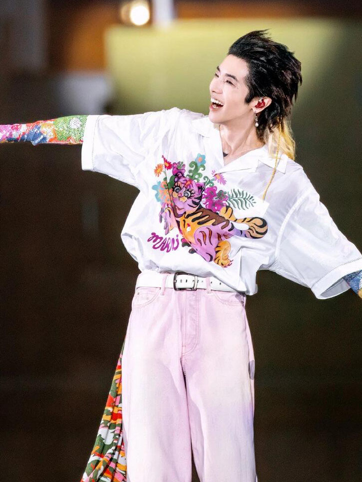 華晨宇スター同型半袖シャツ2024連カプセルシリーズ男女虎柄半袖シャツ
