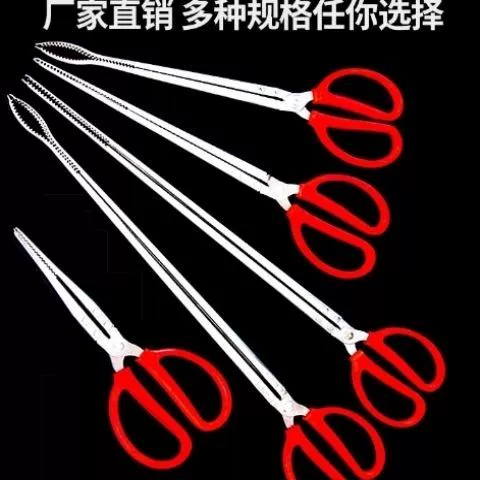 Длинные пельмени удлиняются, а бутик -специалисты Scutellaria Baoccover Pliers.