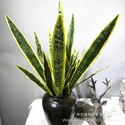 Simulated single-branch tiger orchid, Nordic tropical plant, agave, succulent plant, bonsai, artificial flower, simulated green plant, gladiolus