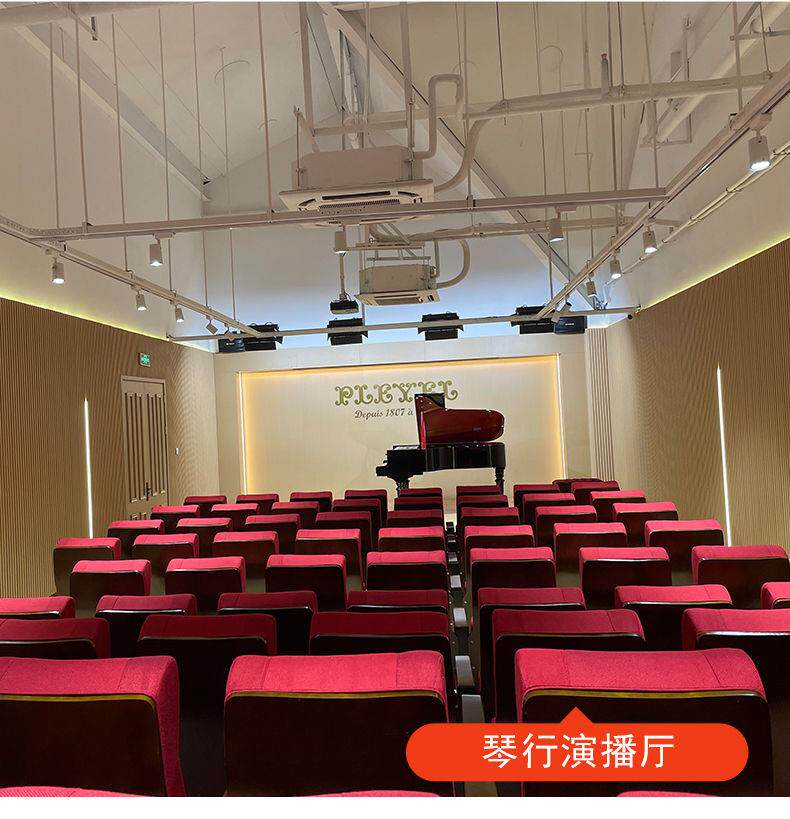 Кресла для кинотеатров 礼堂椅排椅报告厅连排座椅多媒体阶梯教室桌椅会议室电影院剧场椅