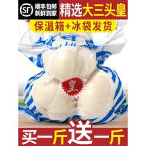 Lanzhou newly dug fresh sweet lily 500g two-headed emperor edible white and Gansu specialty non-dry goods special grade dried lily
