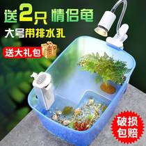 Use turtle tank sun terrace to raise special fish tank Brazilian turtle with turtle box house villa breeding basin small home with house