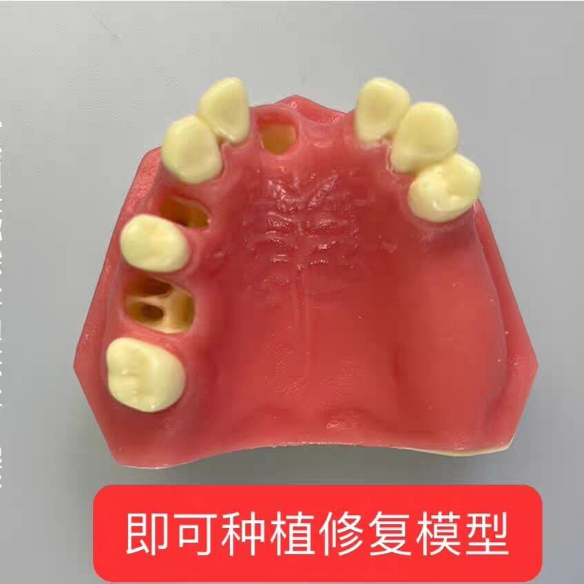 牙科口腔材料种植练习模型上颌窦口腔模具培训班教学专用模型硬度