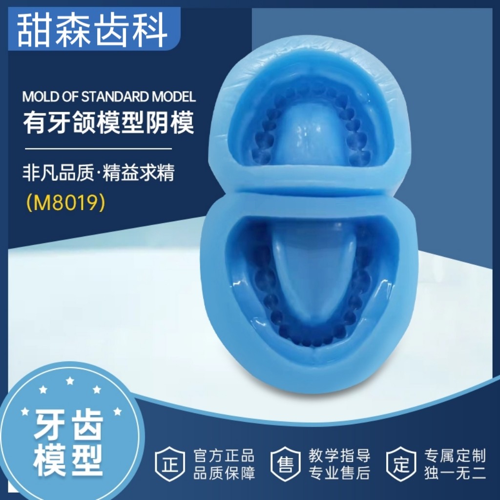 牙科无牙有牙颌模型阴模全口标准牙列硅胶上下颌通用成人牙齿模型