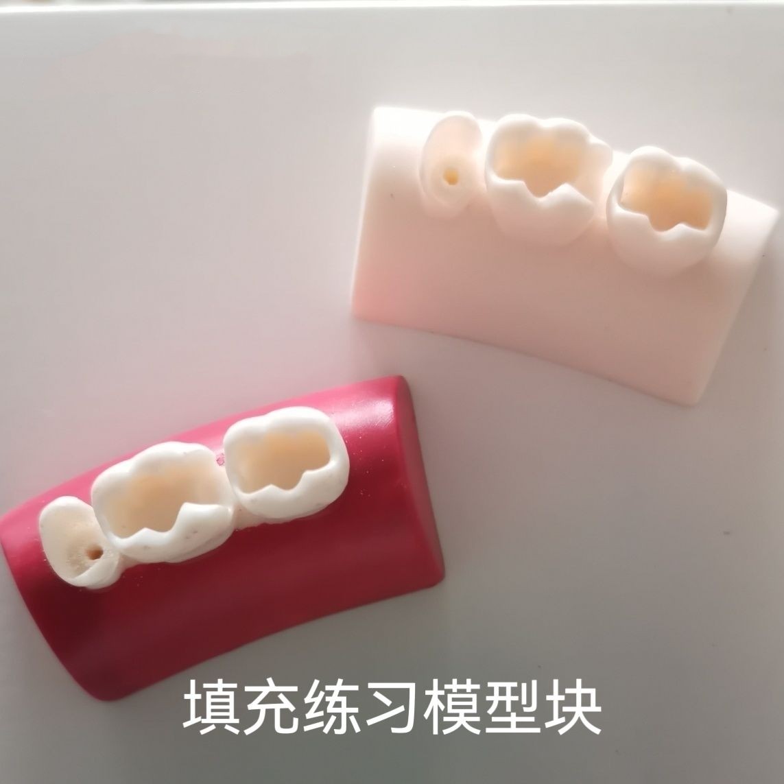 口腔补牙模型牙科练习树脂块儿练习补牙根管填充嵌体三颗牙练习
