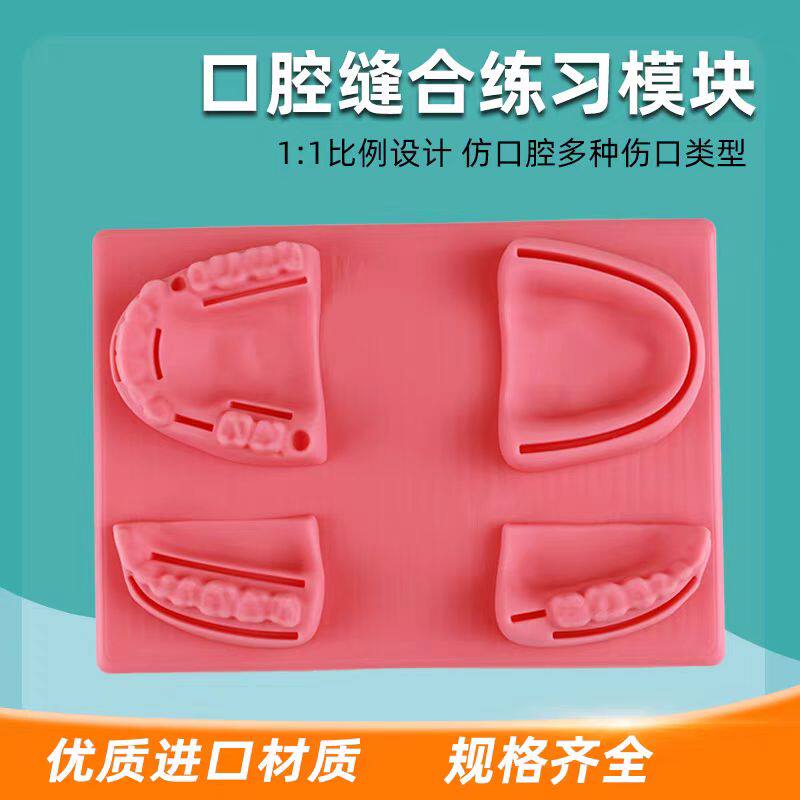 仿真口腔缝合模型针带线牙周缝合练习医用教学训练工具技能练习