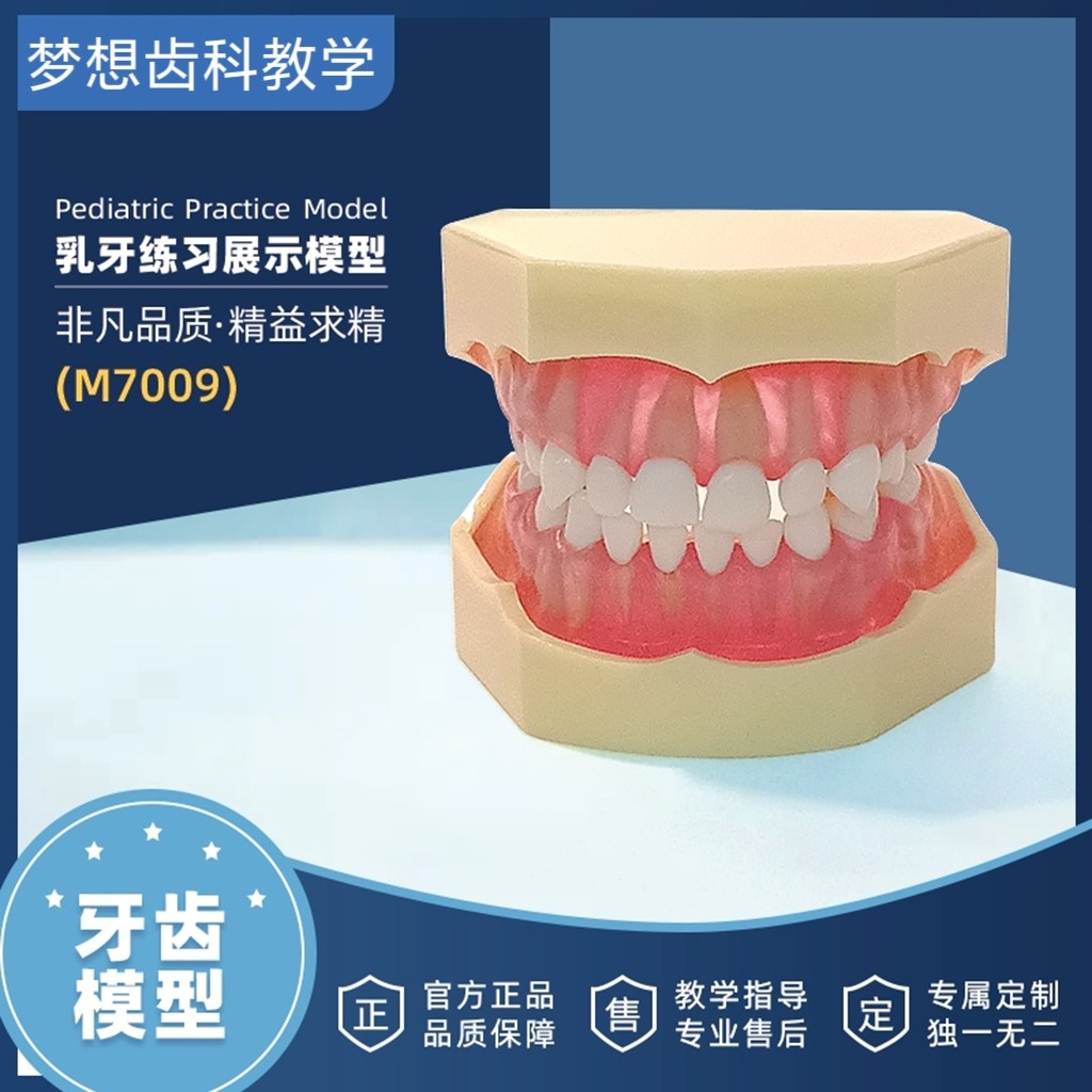 牙齿乳牙标准模型全口可拆卸树脂口腔牙科医生教学模具仿真模拟