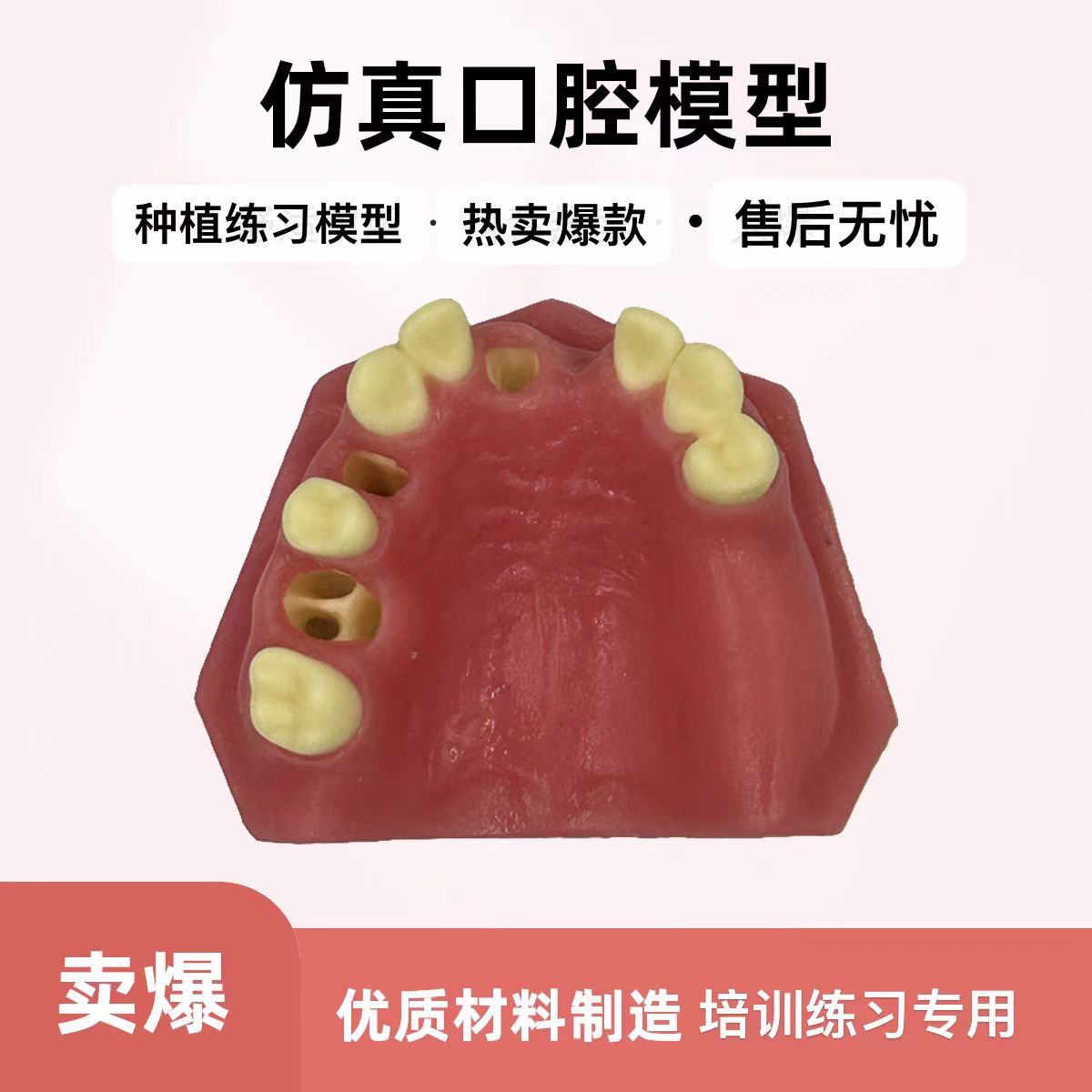 牙科材料种植练习模型上颌窦口腔模具培训班教学专用模型硬度可选