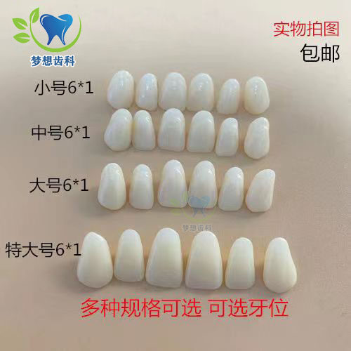 牙科散牙粒上下门牙上下大牙散装排牙练习加工厂用口腔齿科约50颗