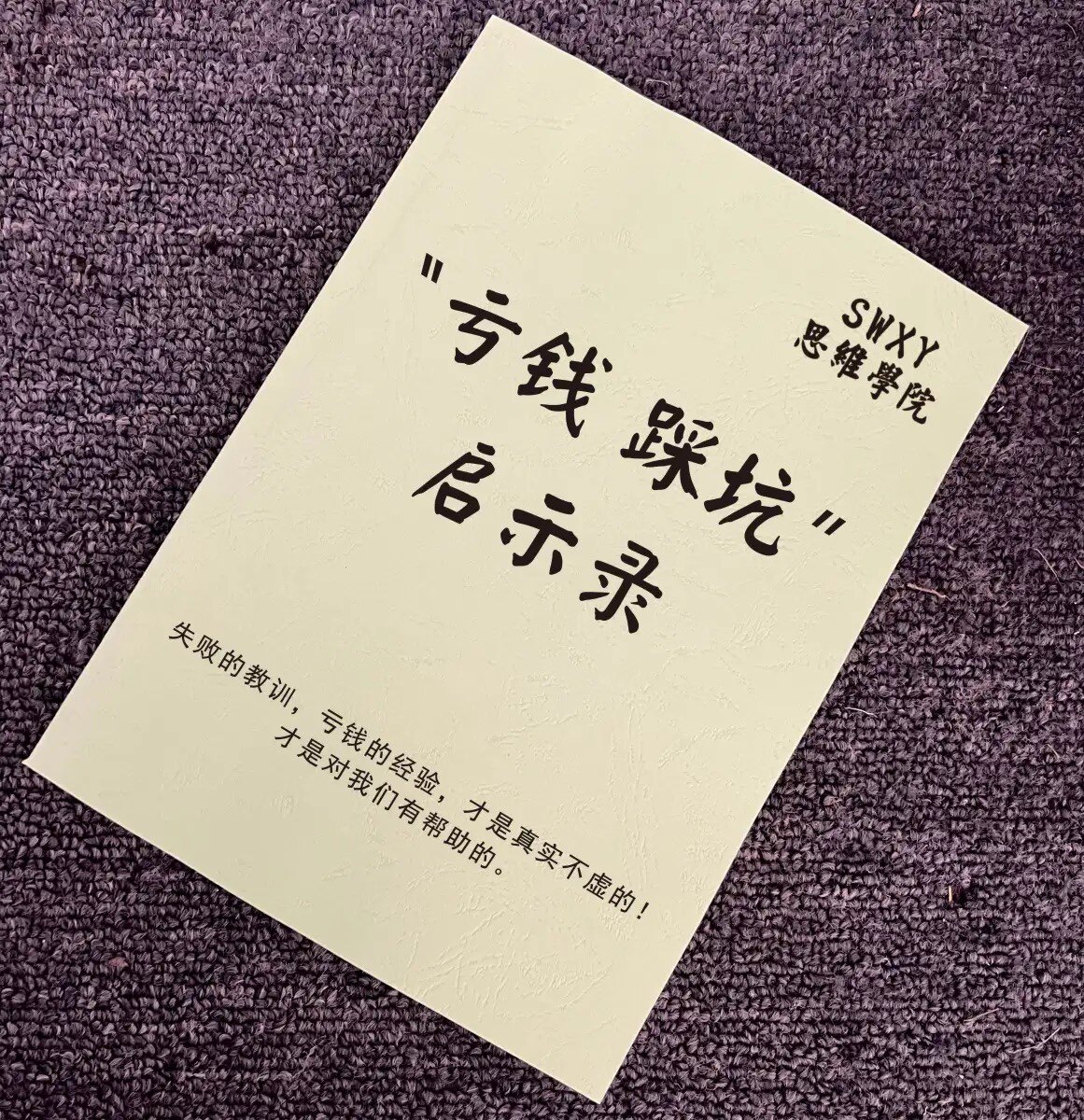 《亏钱踩坑启示录》失败的教训、亏钱的经验、才是真实不虚的成功秘诀，亏钱踩坑启示录pdf电子书资料下载在线阅读