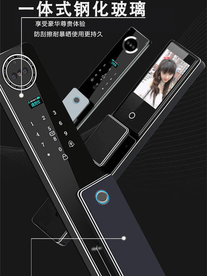 双开门人脸识别防雨防冻防晒密码指纹锁室外别墅大门庭院智能门锁