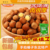Xinjiang hand-made hazelnuts Northeast specialty Tieling Kaiyuan hazelnuts new goods fried open fresh raw large hazelnuts