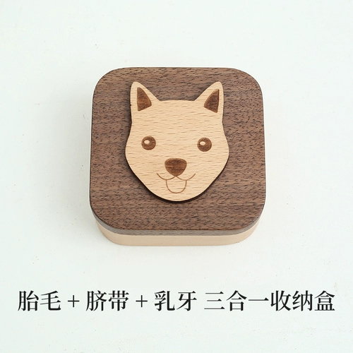 Коробка сбора пионеров с помощью пупок Постоянный пупок