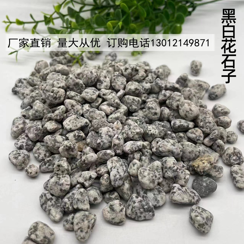 Black and White Dot Sesame Gray Pebbles Mechanism Granite Architectural Gravel Sesame White Gravel Dark Gray Pebbles