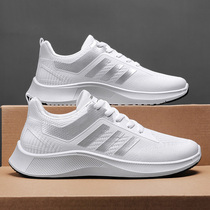 Brand code breaking | Ten billion subsidies | Good shoe recommendations | 2024 new spring and summer pet shoes breathable shoes