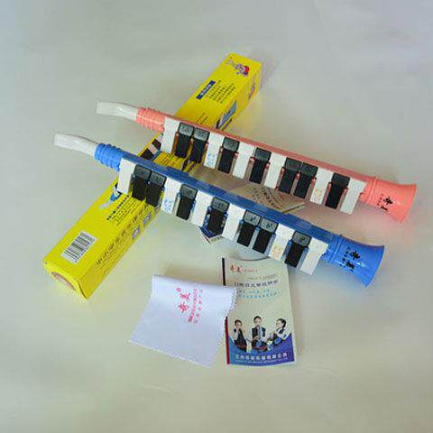 13 Key 27 Key thirteen Key Children's Mouth Organ Beginner Lecture Hall Teaching Portable Horn Type Student Organ
