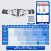 Медицинская модель обновления [Стальная пластина+хрящ+бионическая поддержка] Подарочная сеть