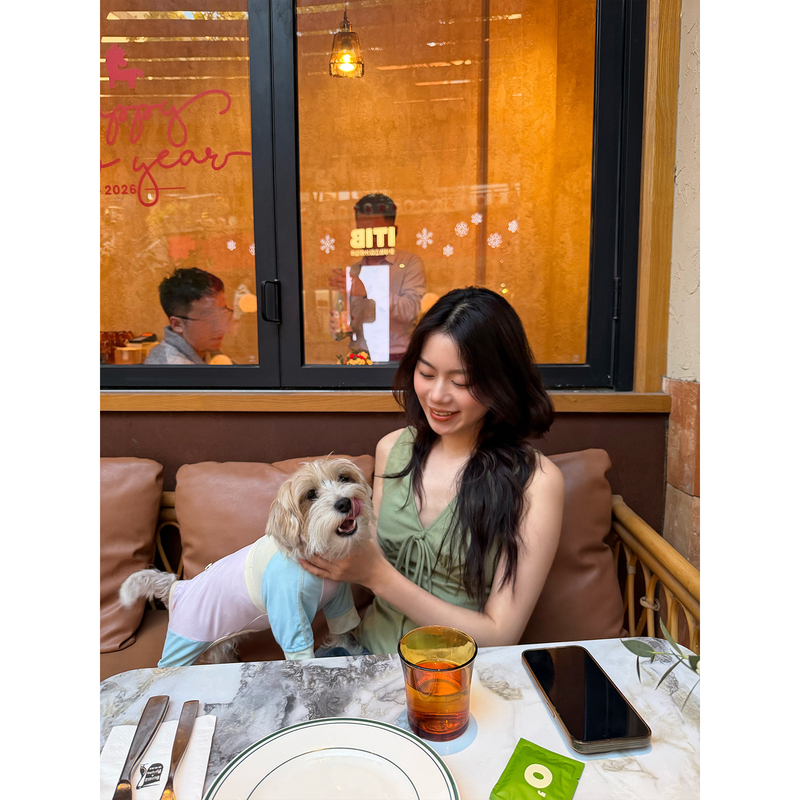 Seyora Siyao's "Beautiful Dream" Green Summer New Sleeveless Top, V-Neck Camisole for Women Seyora Siyao's "Beautiful Dream" Green Summer New Sleeveless Top, V-Neck Camisole for Women