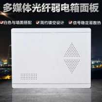 Weak electric box cover multimedia hub plastic cover household fiber input box panel cover large medium size