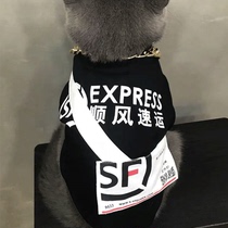 Blue Cat Cat Clothes Public Cat Summer Evil Fuck Teddy Small Dogs Cute Funny Tailwind Outfits Pet Dog Clothes